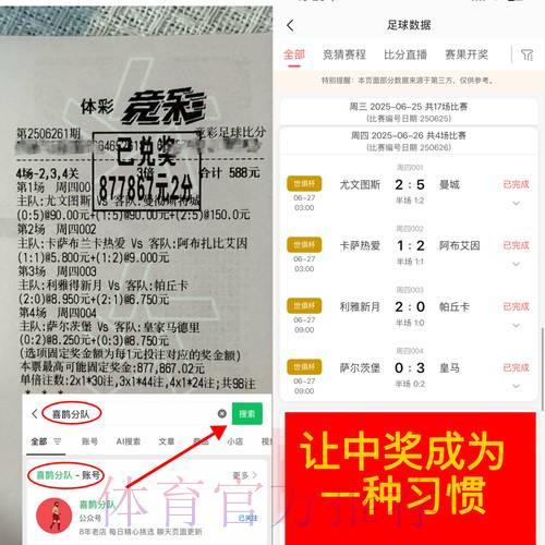 世界杯场外博彩是否左右赛事走向？深度剖析其背后的道德困境
